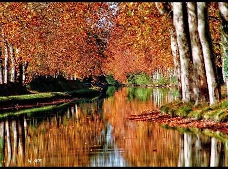 Bed & Breakfast Casa Du Bassin Castelnaudary